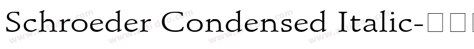 Schroeder Condensed Italic字体转换